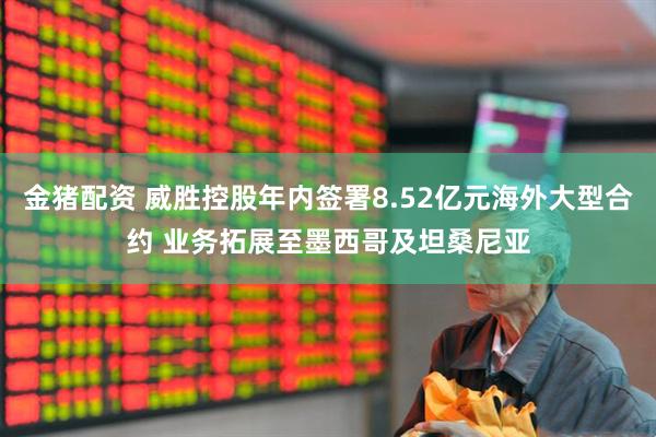 金猪配资 威胜控股年内签署8.52亿元海外大型合约 业务拓展至墨西哥及坦桑尼亚