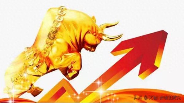 森利网 股票和基金有什么区别? 散户如何选择?