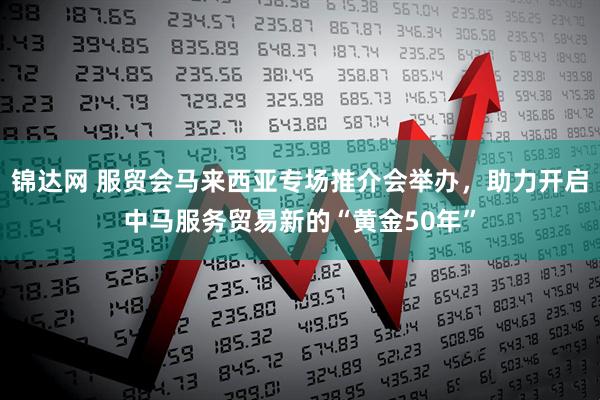锦达网 服贸会马来西亚专场推介会举办，助力开启中马服务贸易新的“黄金50年”