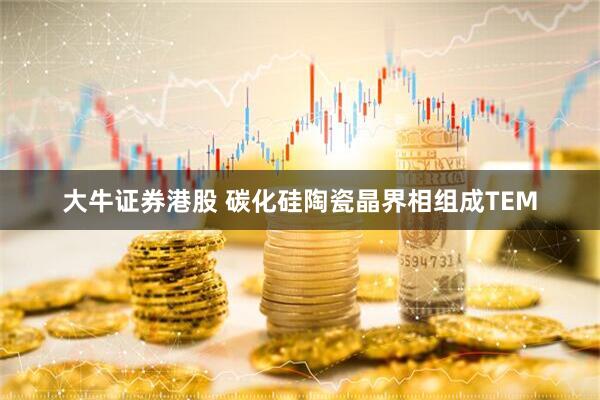 大牛证券港股 碳化硅陶瓷晶界相组成TEM