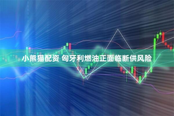 小熊猫配资 匈牙利燃油正面临断供风险